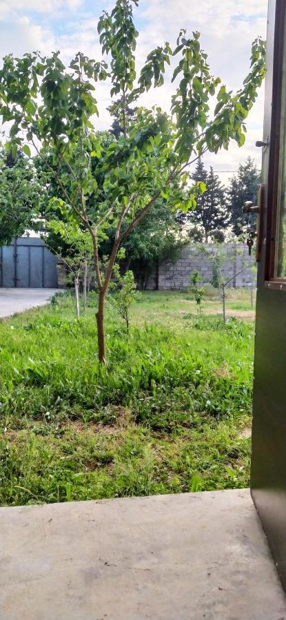 Apartment Near Baku Airport Ngoại thất bức ảnh