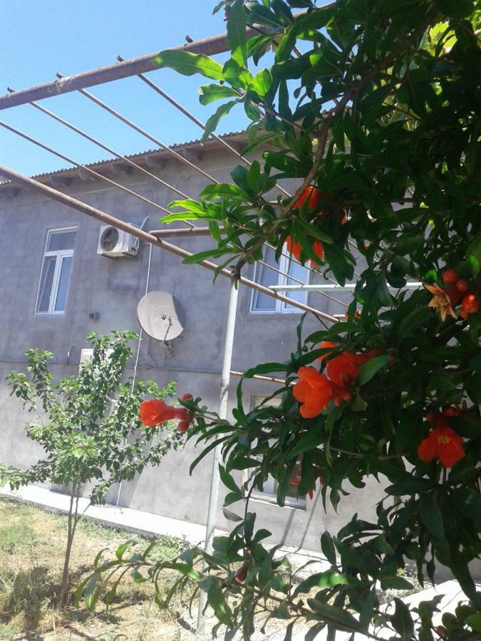 Apartment Near Baku Airport Ngoại thất bức ảnh